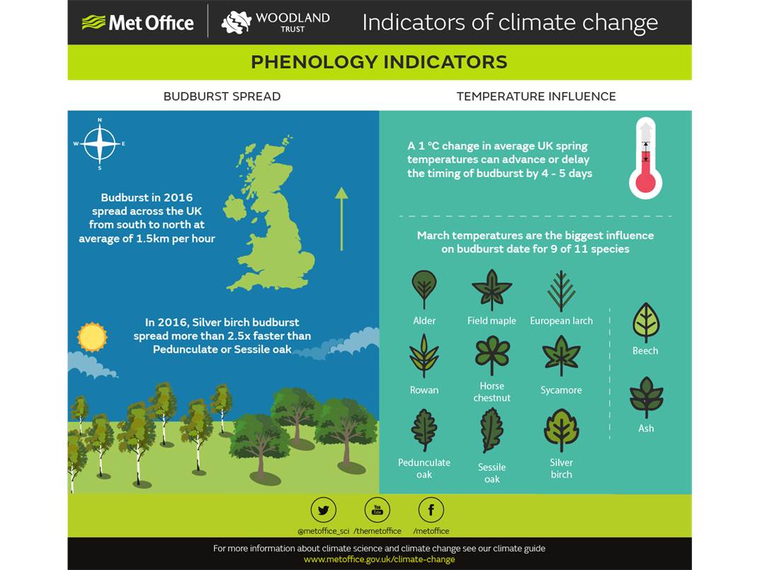 Schematic showing phenology indicators of climate change