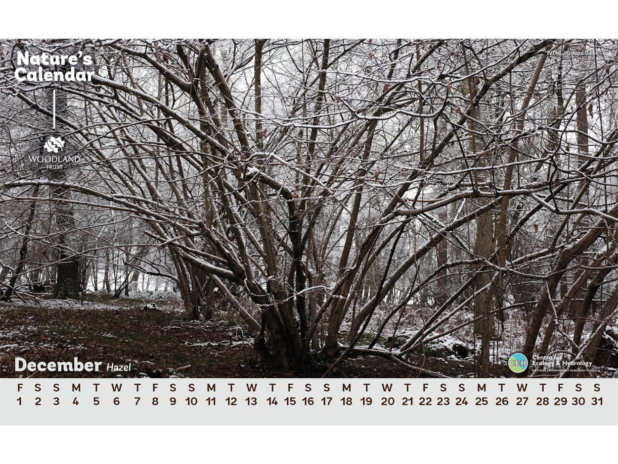 Desktop calendar